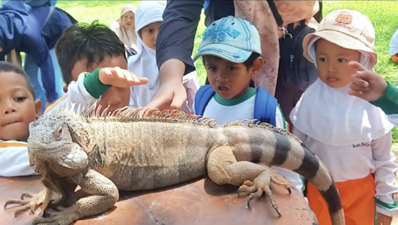 Kelompok Bermain